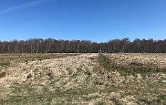 161_iP_220421_IMG_5215