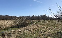 162_iP_220421_IMG_5216