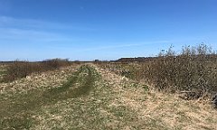 163_iP_220421_IMG_5217