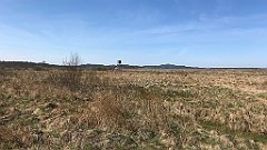 165_iP_220421_IMG_5220