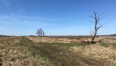 173_iP_220421_IMG_5227