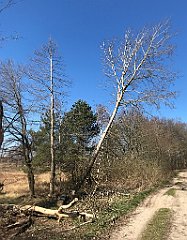 328_iP_220421_IMG_5265