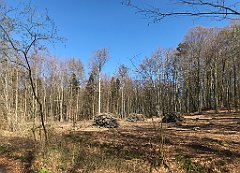 342_iP_220421_IMG_5270