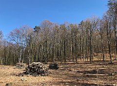 343_iP_220421_IMG_5271