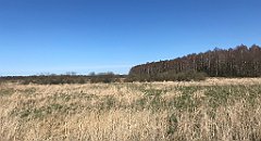 381_iP_220421_IMG_5285