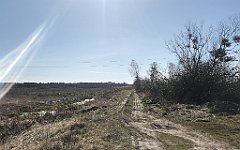 412_iP_220421_IMG_5295