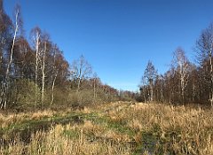 449_iP_220421_IMG_5307