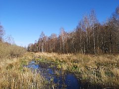 454_p20_IMG_20220421_163751