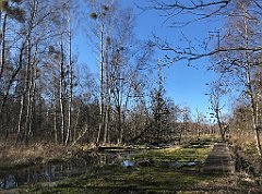 460_iP_220421_IMG_5309