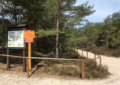 166_iP_220510_IMG_5548