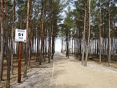 204_p20_IMG_20220510_114106