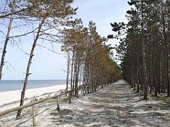 217_p20_IMG_20220510_115647