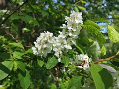 348_p20_IMG_20220517_160431