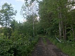 099_iP_220531_IMG_5597