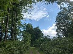 102_iP_220531_IMG_5601