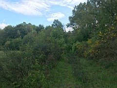 103_iP_220531_IMG_5604