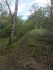 105_iP_220531_IMG_5608