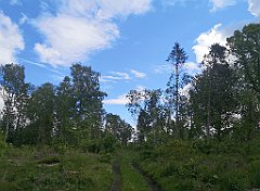 121_p20_IMG_20220531_091152