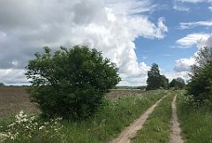 151_iP_220531_IMG_5626