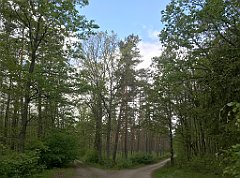 177_iP_220531_IMG_5649