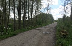 179_iP_220531_IMG_5653