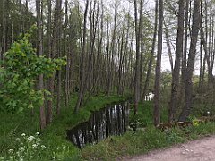 181_iP_220531_IMG_5656