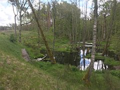 192_iP_220531_IMG_5669