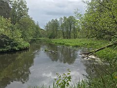 222_iP_220531_IMG_5696