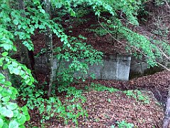 248_iP_220531_IMG_5728