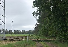 253_iP_220531_IMG_5733