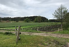 263_iP_220531_IMG_5747