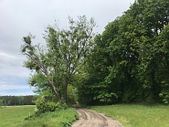 265_iP_220531_IMG_5749