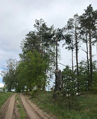 275_iP_220531_IMG_5759