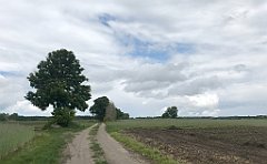 294_iP_220531_IMG_5780