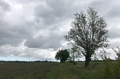 310_iP_220531_IMG_5788