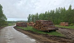 320_iP_220531_IMG_5802