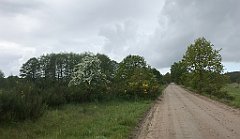 325_iP_220531_IMG_5807