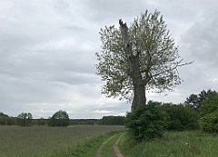 348_iP_220531_IMG_5830