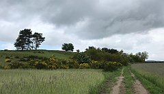 354_iP_220531_IMG_5832