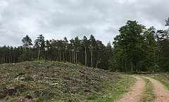 378_iP_220531_IMG_5853