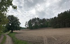 395_iP_220531_IMG_5867