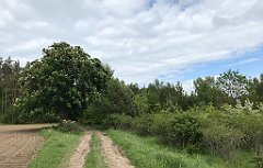 396_iP_220531_IMG_5868