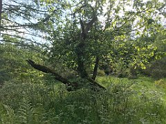 416_iP_220531_IMG_5880