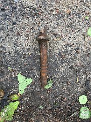 426_iP_220531_IMG_5894