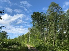 428_iP_220531_IMG_5896