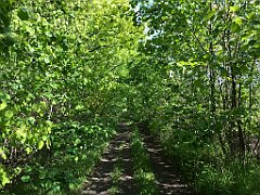 440_iP_220531_IMG_5908