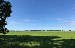 442_iP_220531_IMG_5910