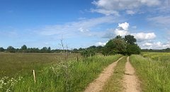 449_iP_220531_IMG_5918