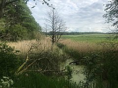 460_iP_220531_IMG_5930