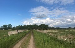 461_iP_220531_IMG_5931